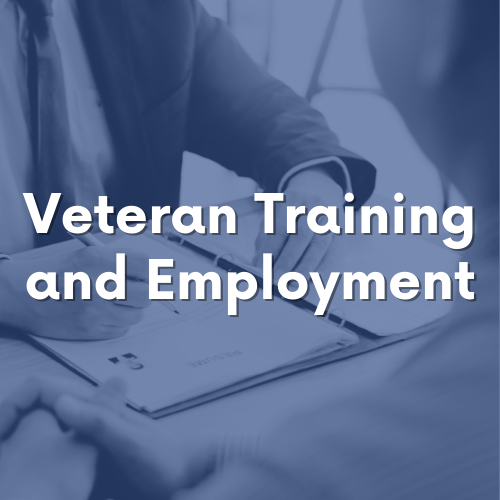 Thumbnail card for Veteran Training and Employment