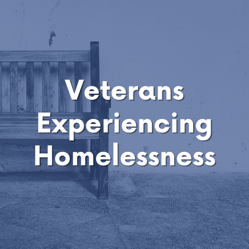 Thumbnail card for Veterans Experiencing Homelessness
