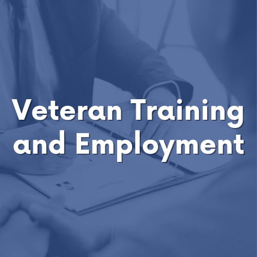 Thumbnail card for Veteran Training and Employment