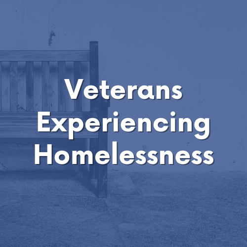 Thumbnail card for Veterans Experiencing Homelessness