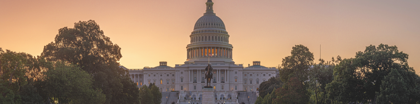 #nivoslider-KbeWd-5156-caption-1 Capitol Building in Washington D.C.